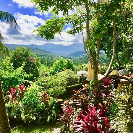 Gunung Paradis Retreat Munduk Zewnętrze zdjęcie