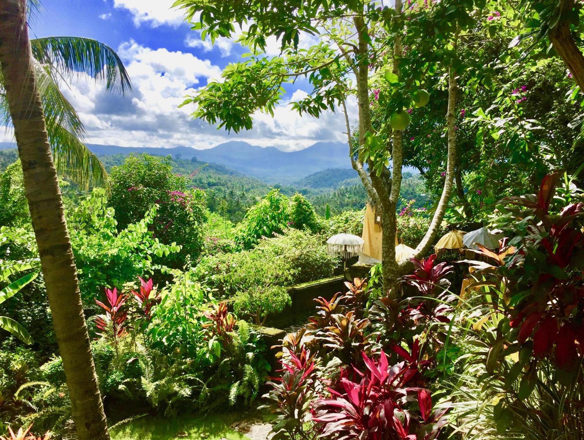 Gunung Paradis Retreat Munduk Zewnętrze zdjęcie