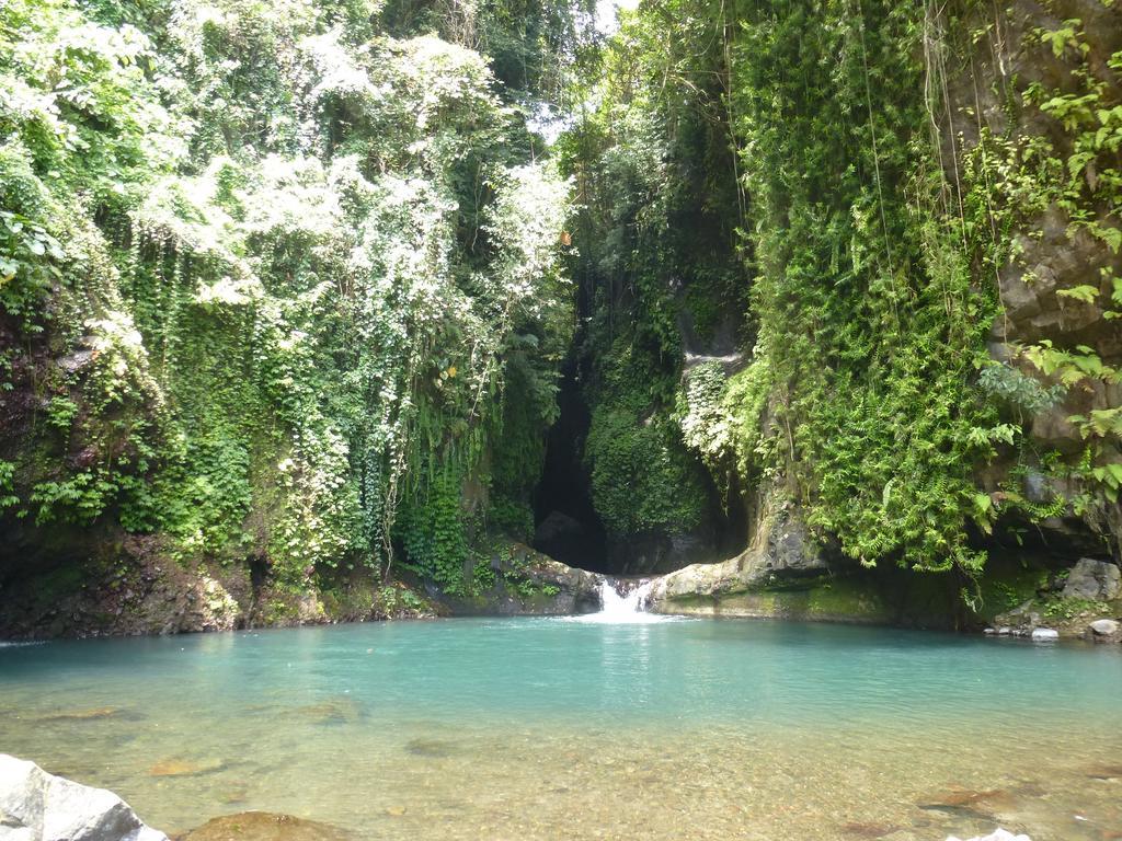 Gunung Paradis Retreat Munduk Zewnętrze zdjęcie